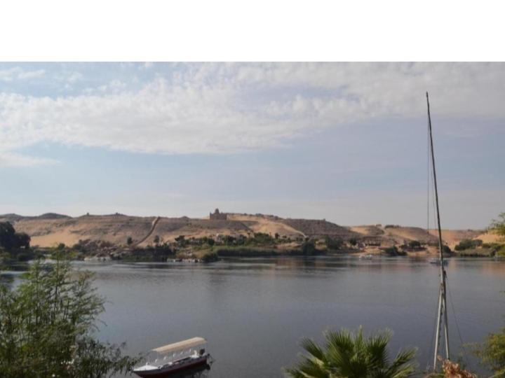 Labib Guest House أسوان المظهر الخارجي الصورة