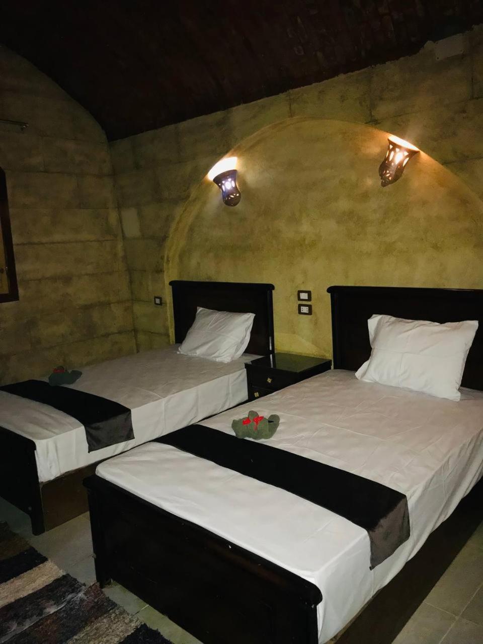 Labib Guest House أسوان المظهر الخارجي الصورة