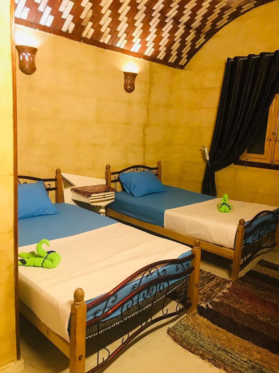 Labib Guest House أسوان المظهر الخارجي الصورة