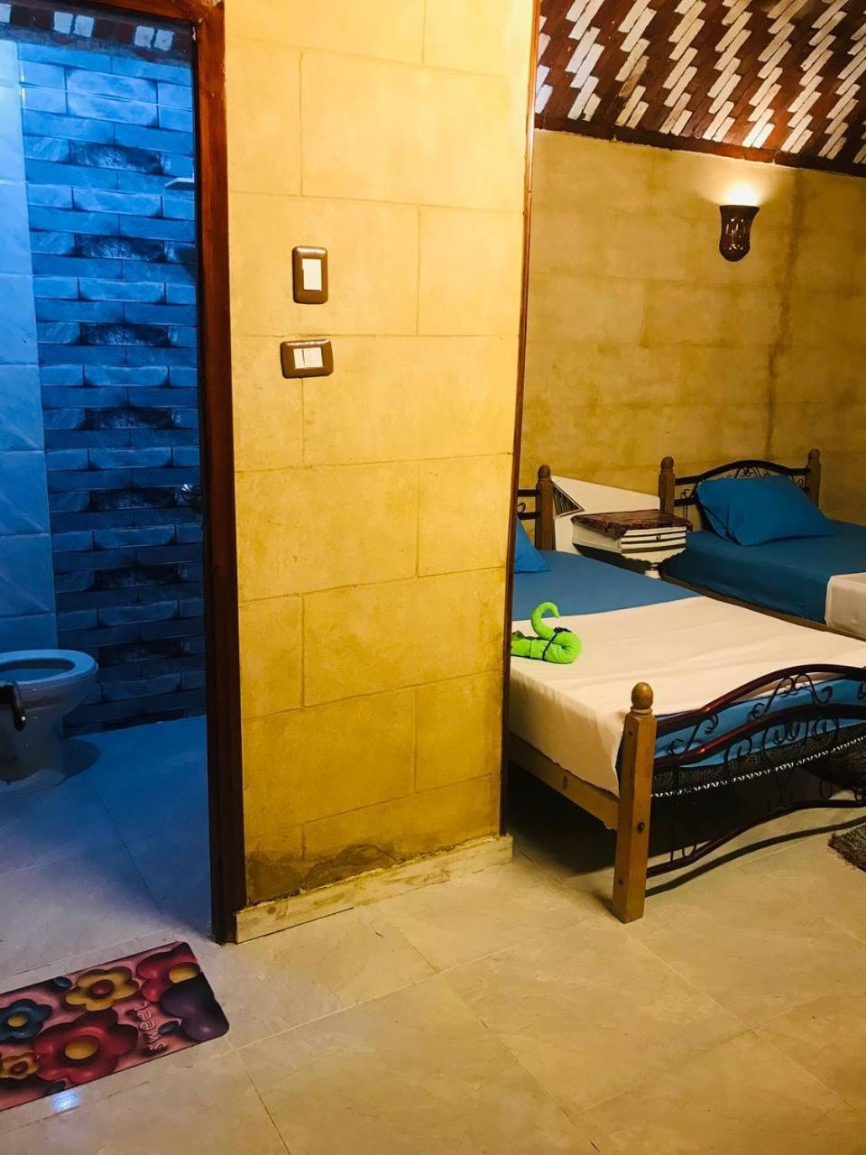 Labib Guest House أسوان المظهر الخارجي الصورة