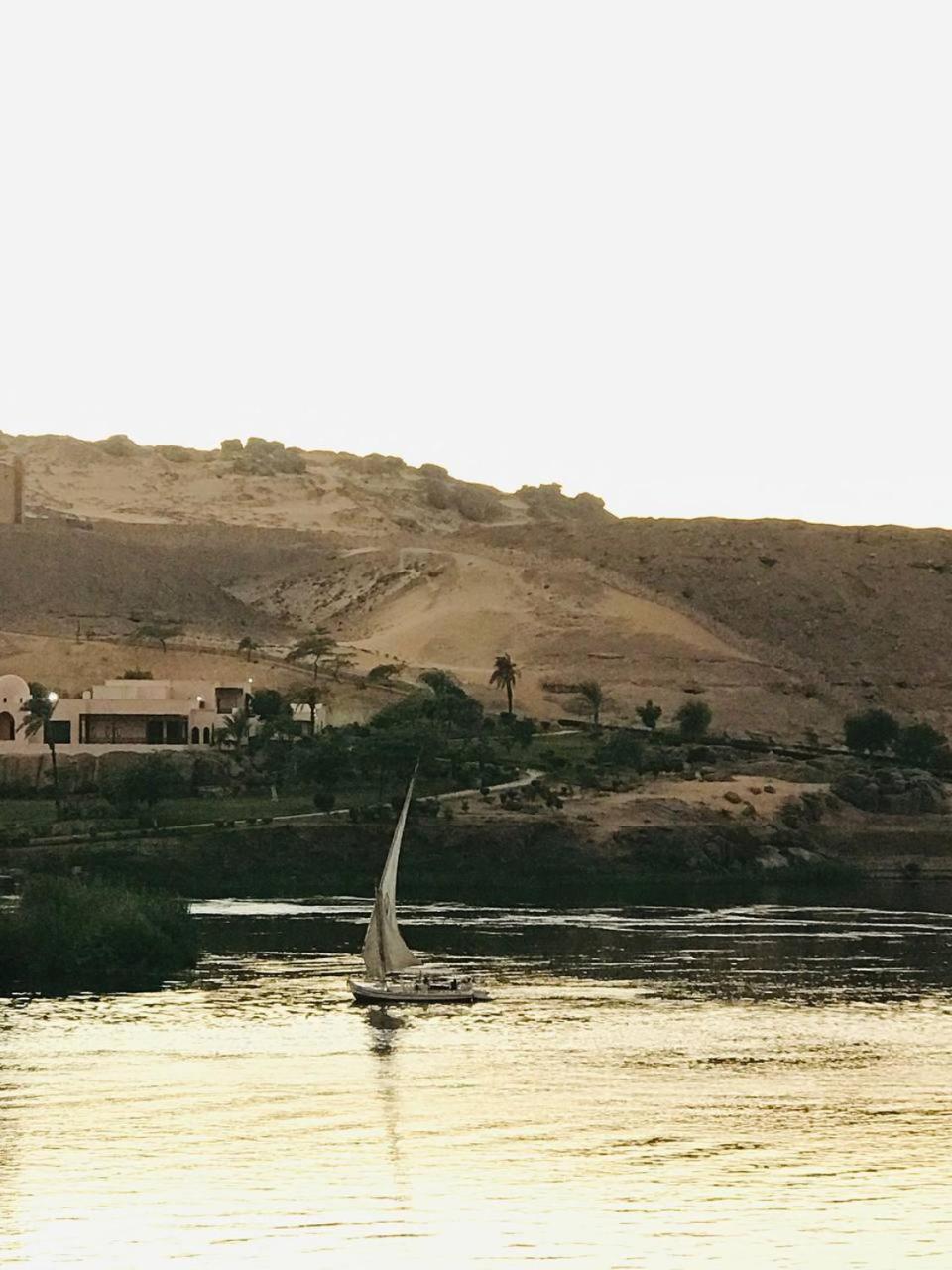 Labib Guest House أسوان المظهر الخارجي الصورة